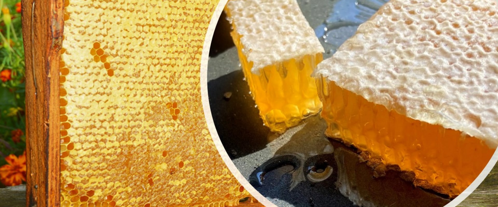 Why You Should Buy Top Pure Organic Farm Fresh Smooth Golden Honey Online From Sustainable Farms