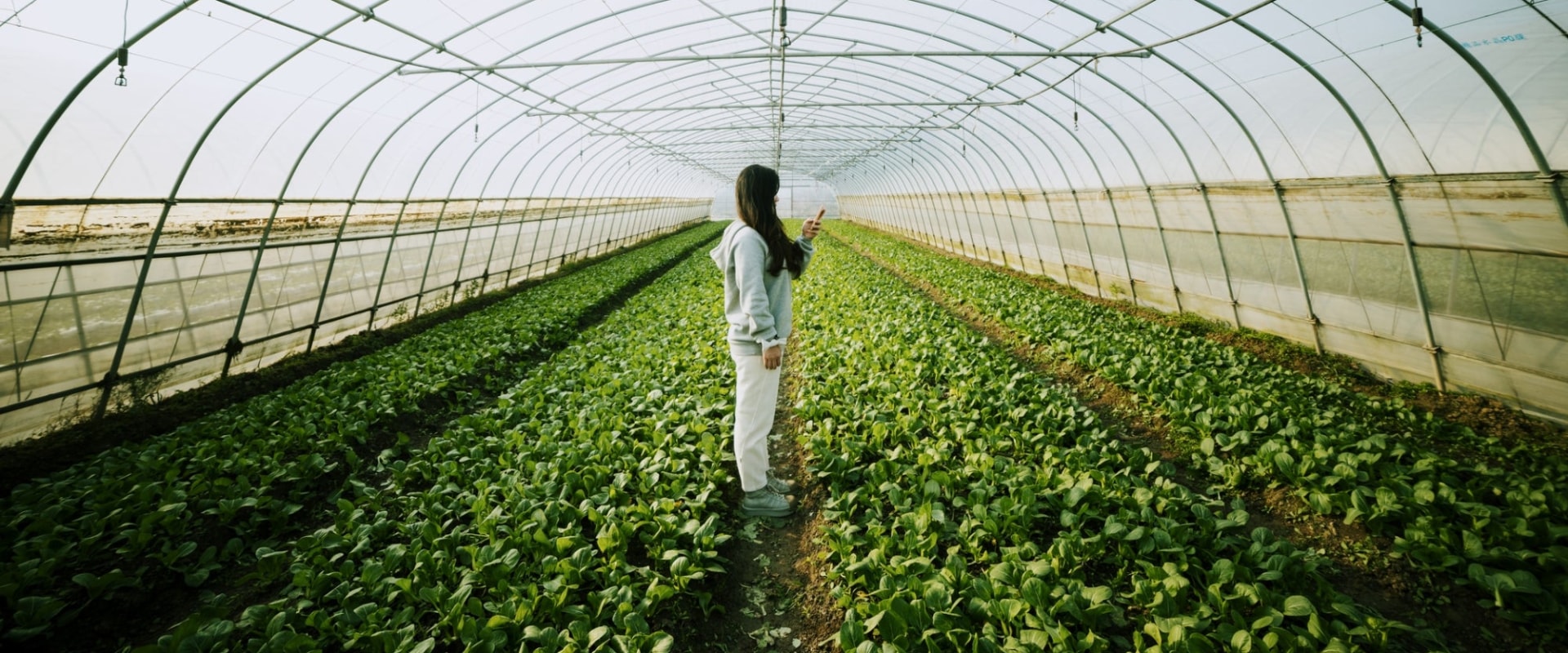 The Future of Sustainable Agriculture: An Expert's Perspective