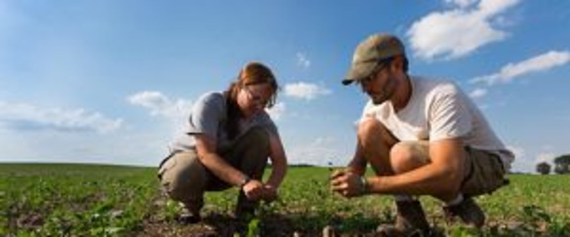 Sustainable Farming: How to Make Your Farm Environmentally Friendly and Profitable