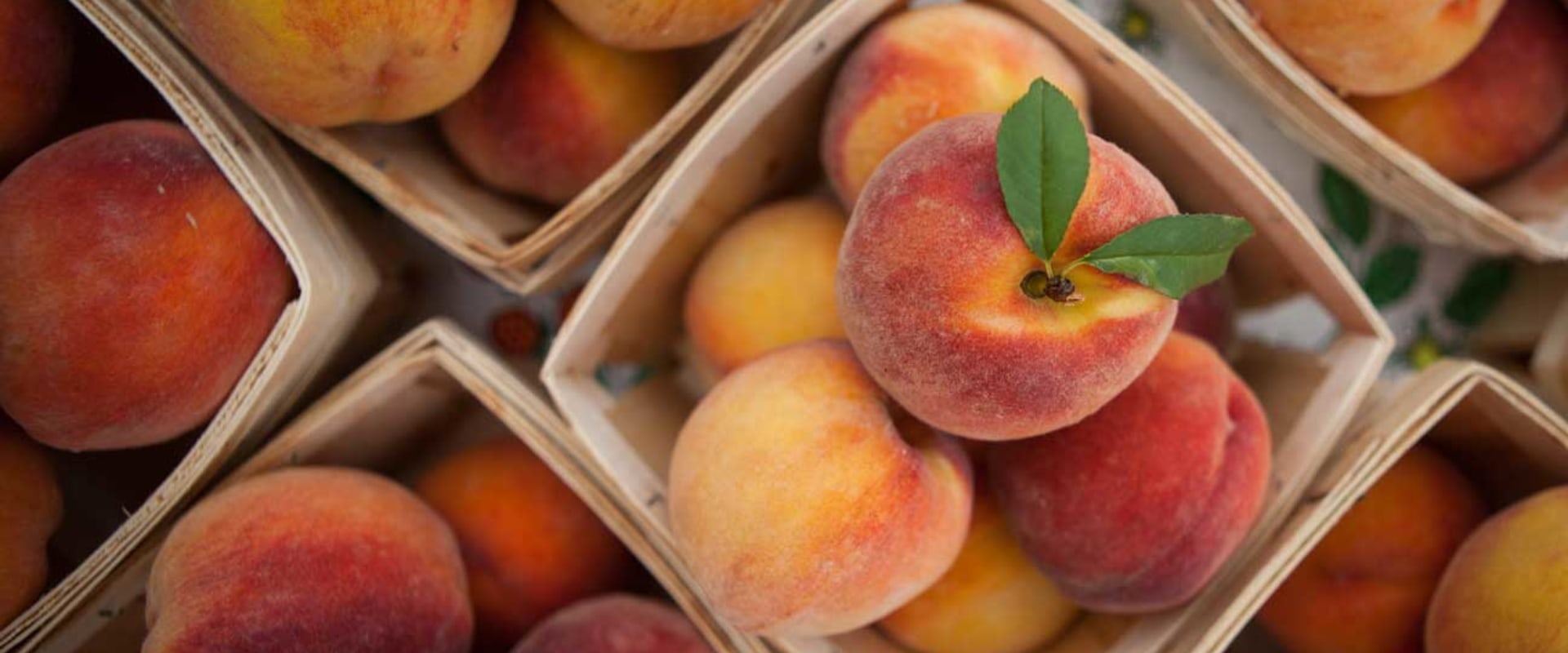 Choosing The Best Tasting Summer Peaches From Farms Committed To Sustainability