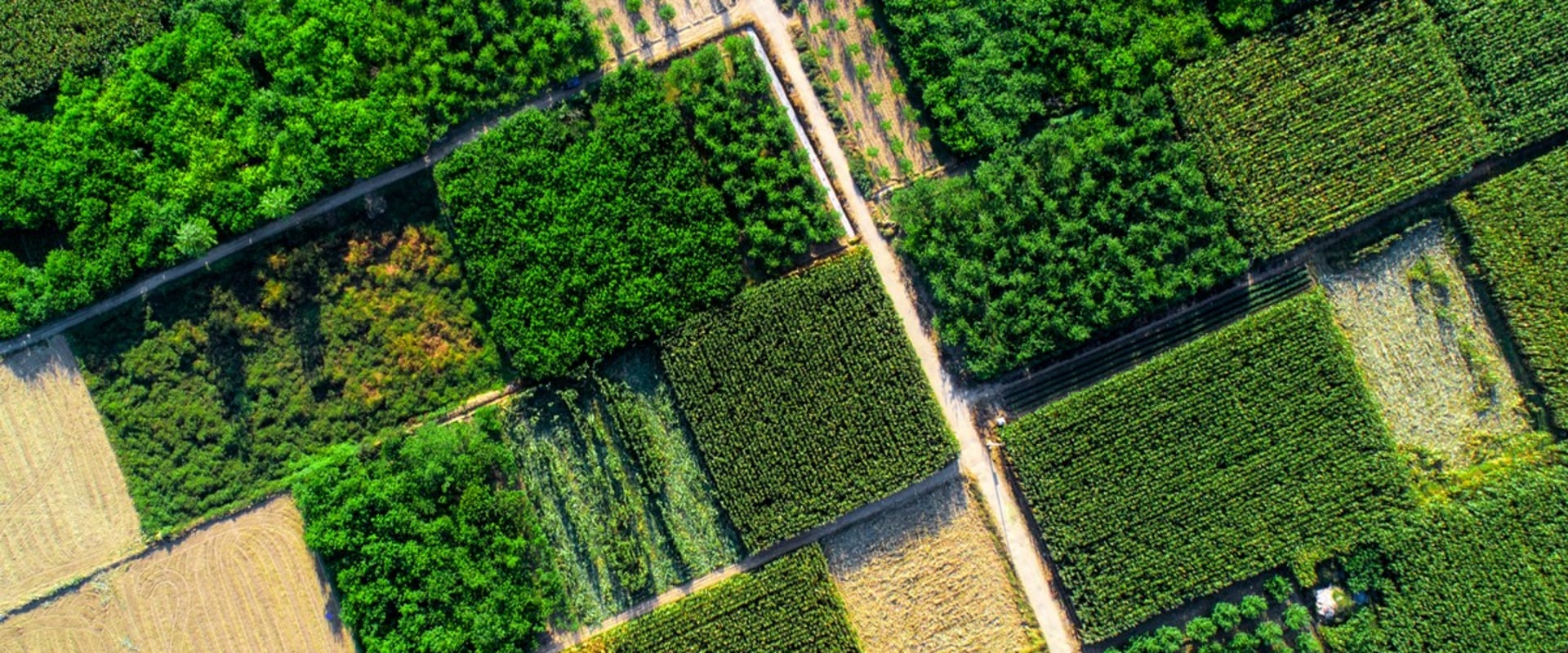 Sustainable Agriculture: A Comprehensive Guide to a Better Future