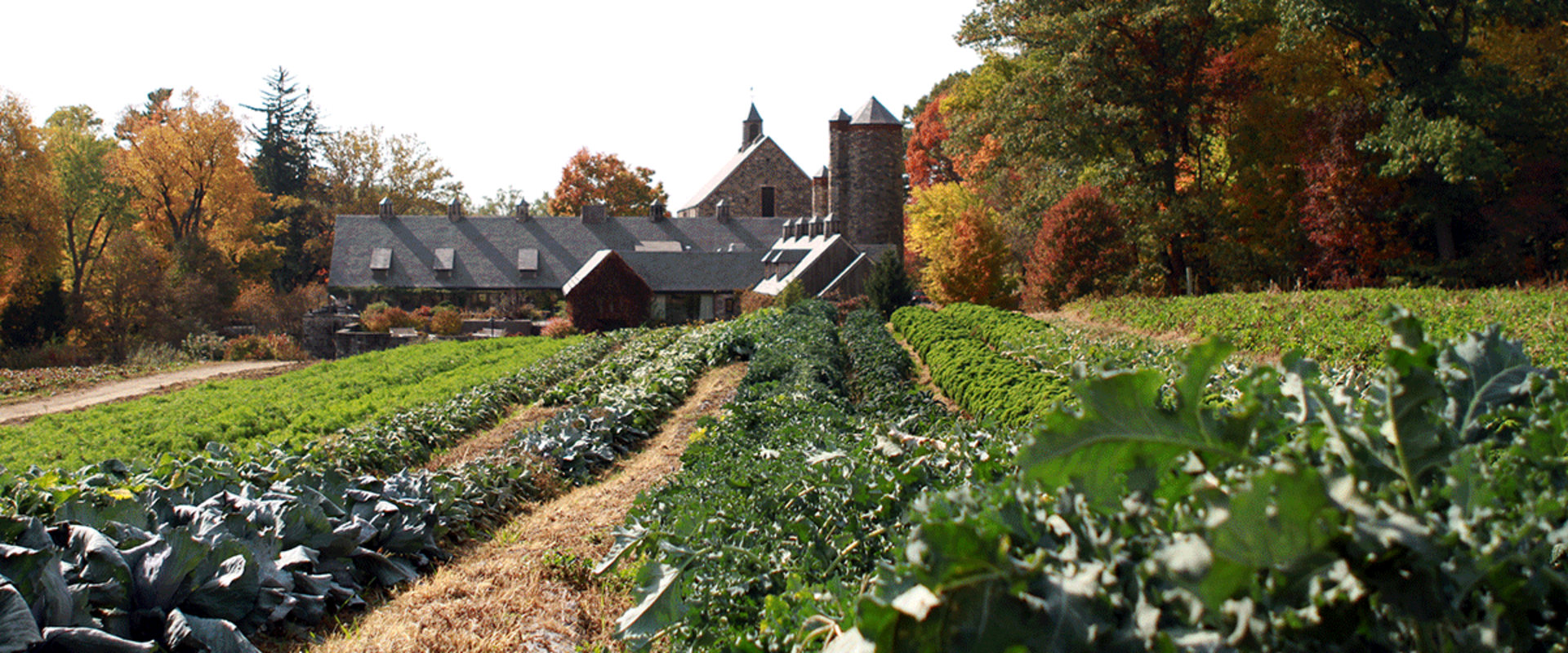 Explore Sustainability With Organic Agricultural Farm Tours & Wellness Near Los Angeles