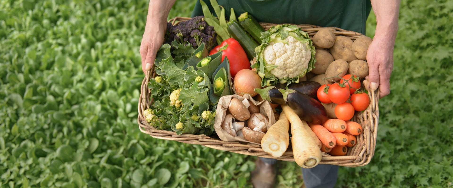 How A Sustainable Healthy Organic Farm Fresh Grocery Online Store Supports Eco-Friendly Farming