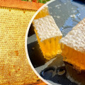 Why You Should Buy Top Pure Organic Farm Fresh Smooth Golden Honey Online From Sustainable Farms