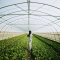 The Future of Sustainable Agriculture: An Expert's Perspective