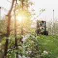 The Importance of Sustainable Agriculture: A Guide from an Expert's Perspective