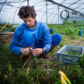 The Benefits of Sustainable Farming: A Comprehensive Guide