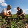 The Power of Sustainable Agriculture for Future Generations
