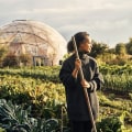 The Benefits of Sustainable Farming: An Expert's Perspective