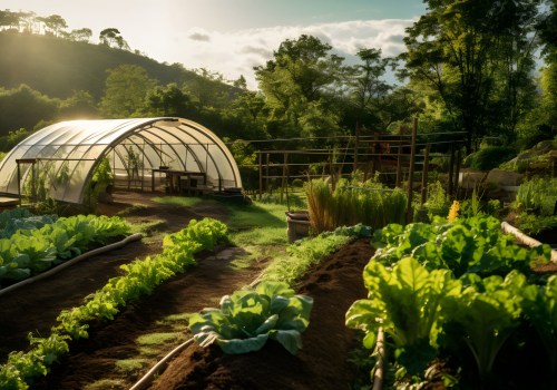 Organic Farming Examples That Lead the Way In Sustainable Practices