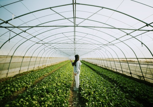 Sustainable Farming: 5 Best Practices for a Greener Future