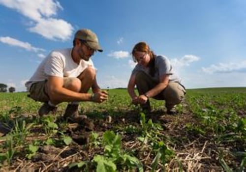 Sustainable Farming: How to Make Your Farm Environmentally Friendly and Profitable