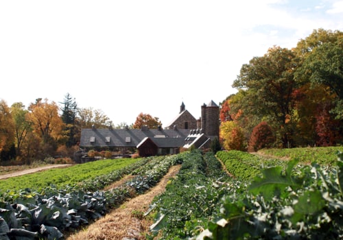 Explore Sustainability With Organic Agricultural Farm Tours & Wellness Near Los Angeles