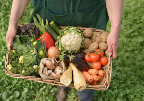 How A Sustainable Healthy Organic Farm Fresh Grocery Online Store Supports Eco-Friendly Farming