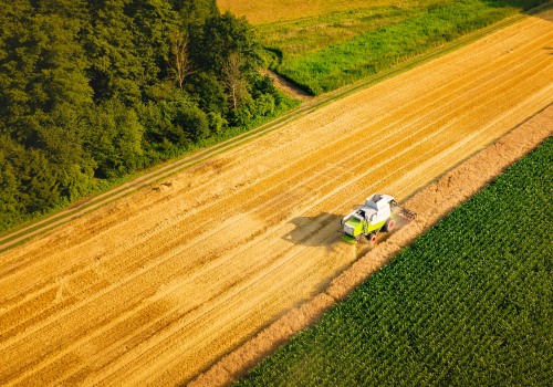 Sustainable Agriculture: A Holistic Approach to Farming