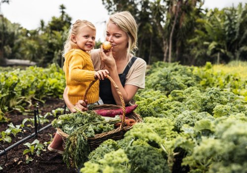 Exploring Sustainable Farming and the Best Farm-To-Table Experiences in Acton Near Los Angeles